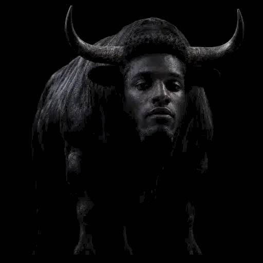 Black Bull